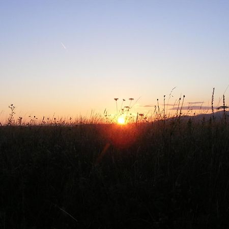 Falubiro Vendeghaza Bekolce Экстерьер фото