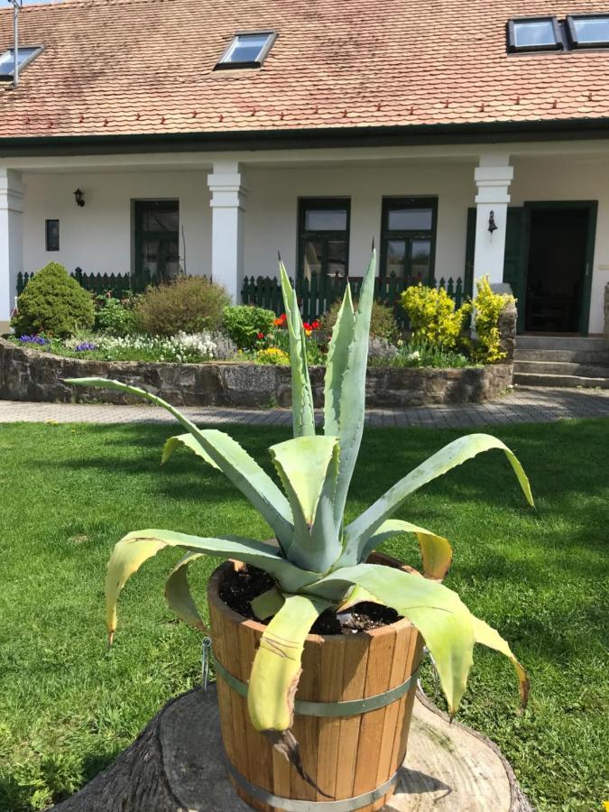 Falubiro Vendeghaza Bekolce Экстерьер фото
